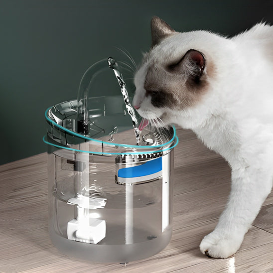 Fontaine-a-eau-chat-abreuvoir