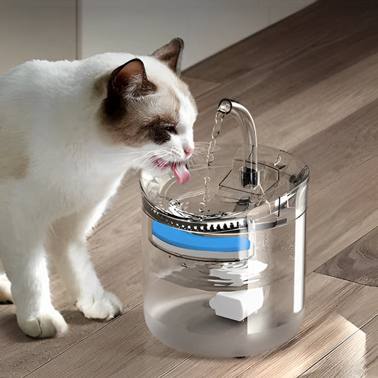 Fontaine-a-eau-chat-action