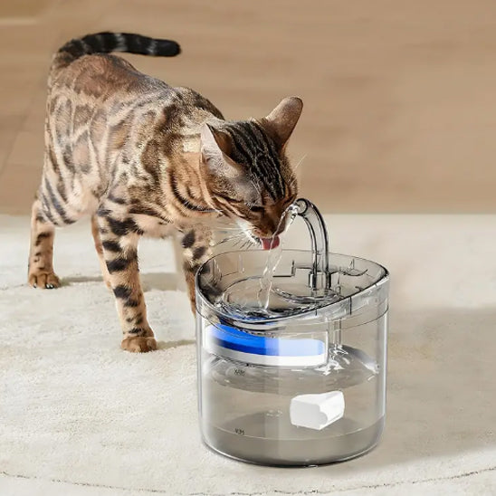 Fontaine-a-eau-chat-bengal_boit