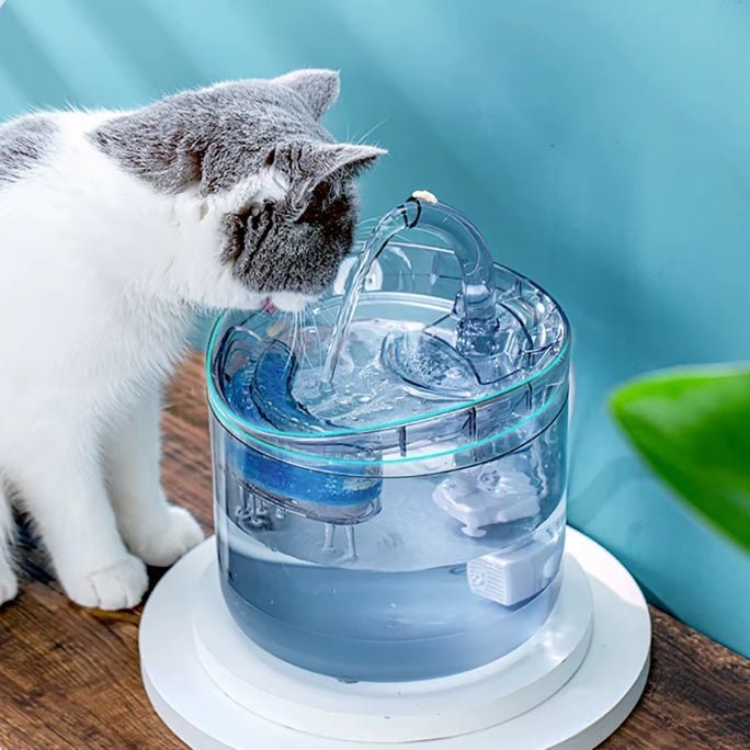 chat boit fontaine eau chat MonChatTiroDeluxe™
