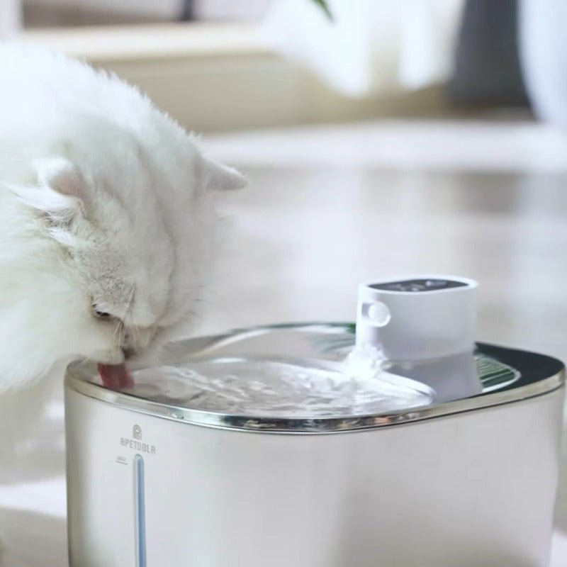 Fontaine a eau chat | MonChatMovEau™ - Mon chat mon tout