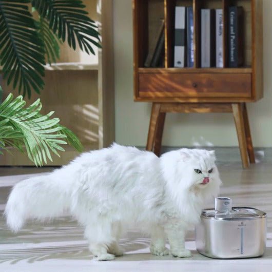 Fontaine a eau chat | MonChatMovEau™ - Mon chat mon tout