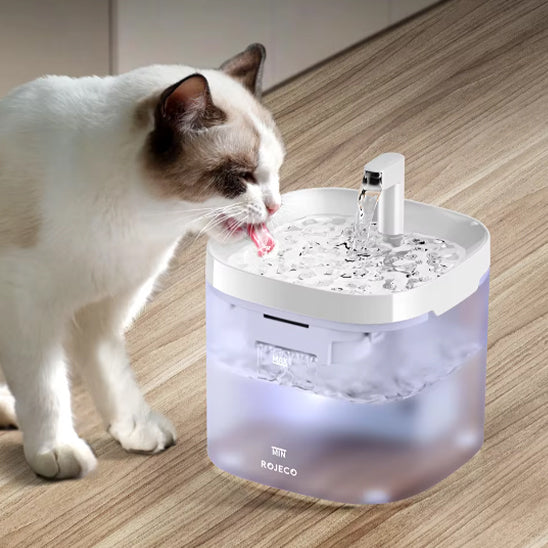fontaine-a-eau-pour-chat-boit