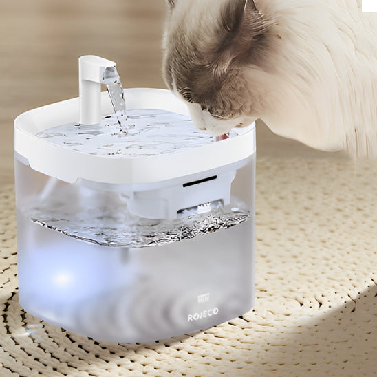 fontaine-a-eau-pour-chat-hydratation