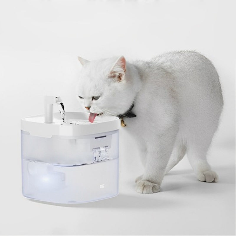 fontaine à eau pour chat avec blanc