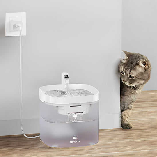 fontaine-a-eau-pour-chat-questionne