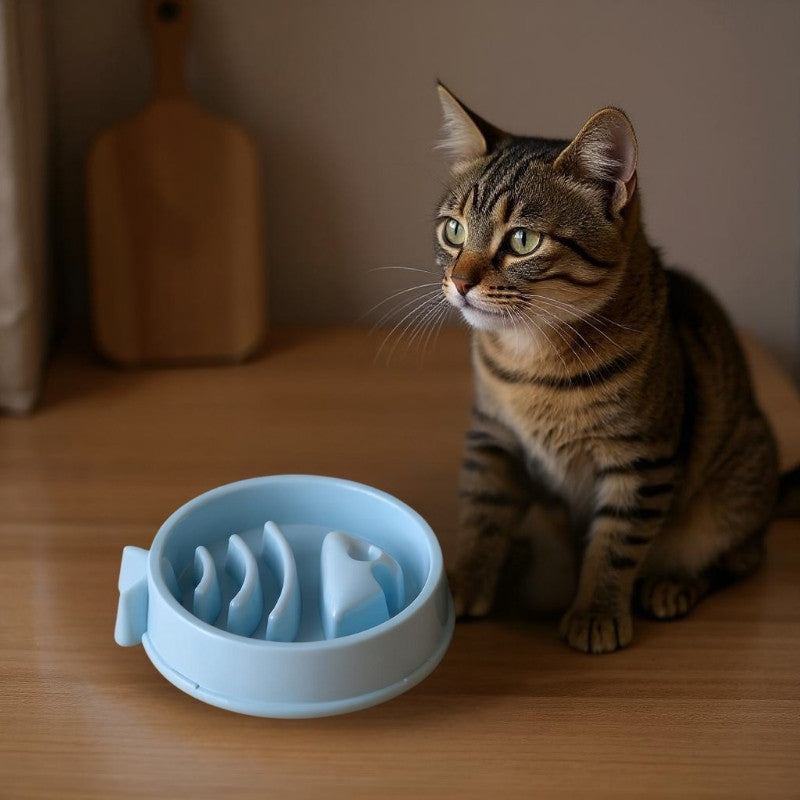 gamelle anti glouton bleu