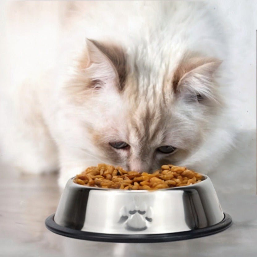 Gamelle chat 18 cm