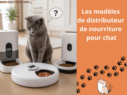 Distributeur nourriture chat quel modèle choisir article blog