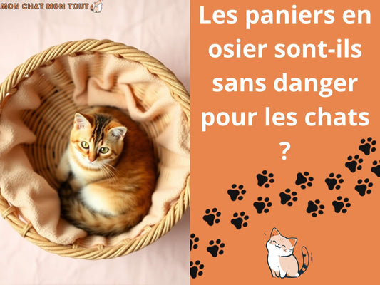 les paniers en osier sont-il sans danger pour les chats