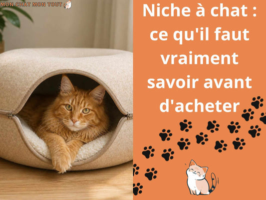 niche à chat ce qu il faut vraiment savoir avant d acheter