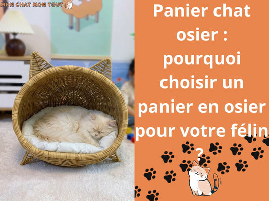 Panier chat osier Pourquoi choisir un panier en osier pour votre félin