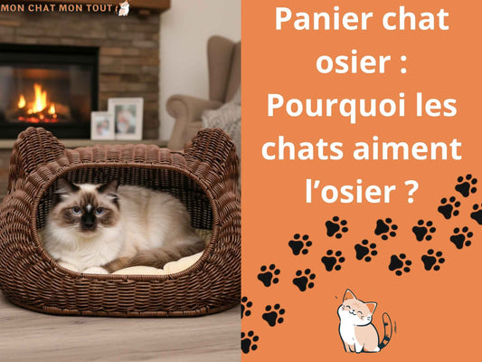 panier chat osier pourquoi les chats aiment l osier