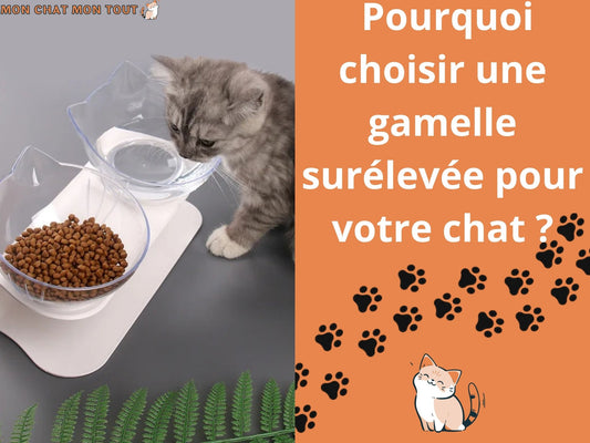 POURQUOI CHOISIR UNE GAMELLE CHAT SURÉLEVÉE?