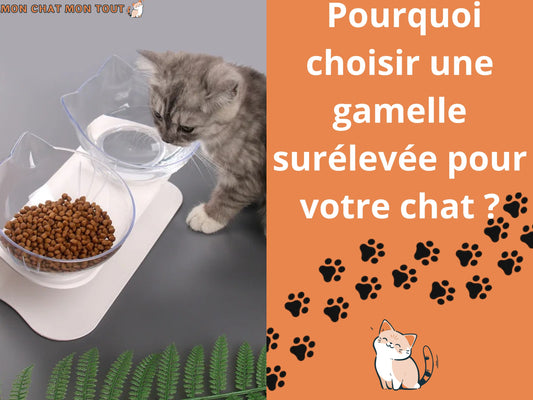 POURQUOI CHOISIR UNE GAMELLE CHAT SURÉLEVÉE?