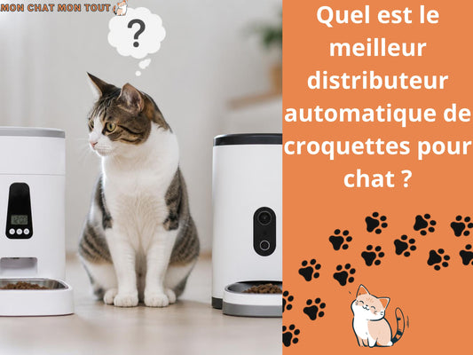 Quel est le meilleur distributeur automatique de croquettes pour chat article blog