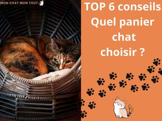 Panier-chat-BLOG-6-conseils-choisir