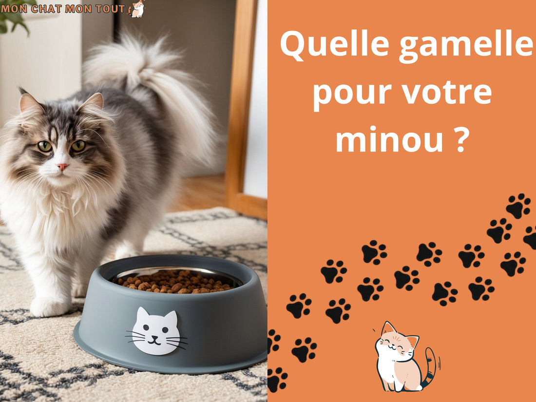 COMMENT CHOISIR LA MEILLEURE GAMELLE POUR VOTRE CHAT ?