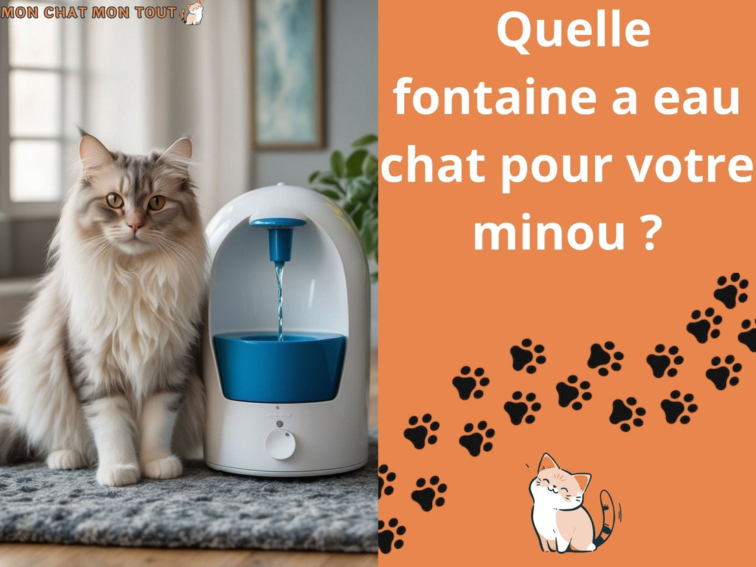 fontaine-a-eau-chat-pour-minou