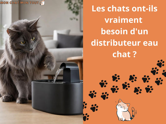 Les chats ont-ils vraiment besoin d'un distributeur eau chat