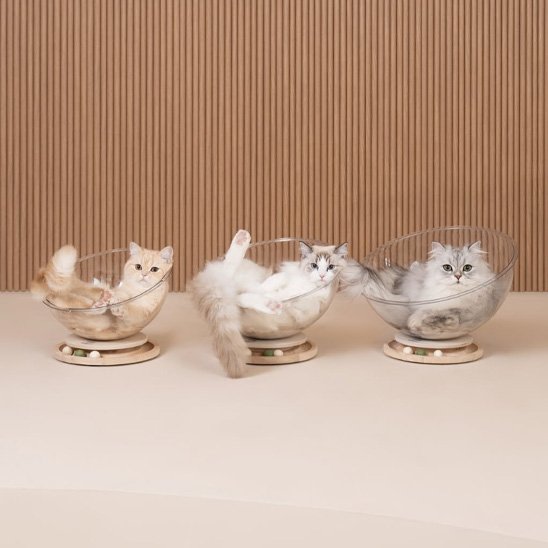 3 chats cool dans Lit pour chat MonChatSpatial avec balles