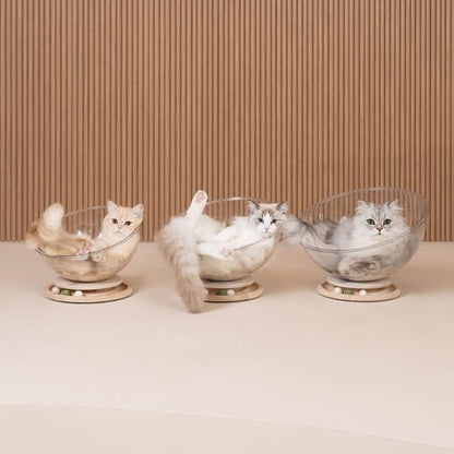 3 chats cool dans Lit pour chat MonChatSpatial avec balles
