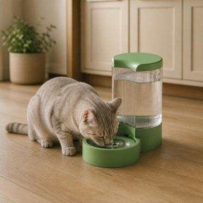 Chat distributeur eau MonChatHydraQuest vert