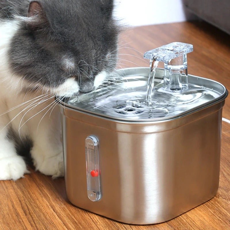 chat gris boit fontaine a eau chat