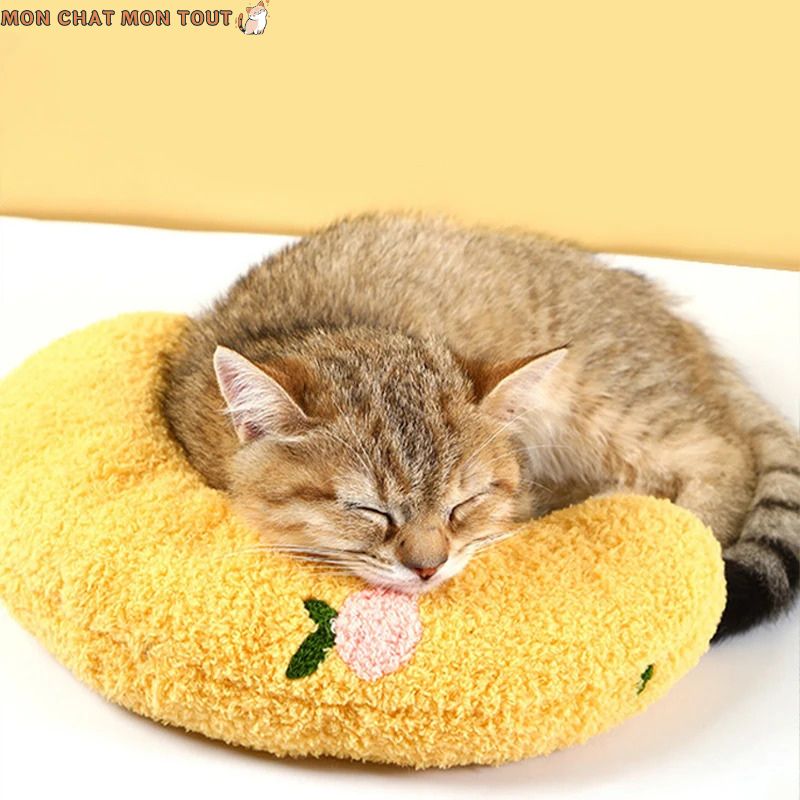 Coussin-chat-jaune