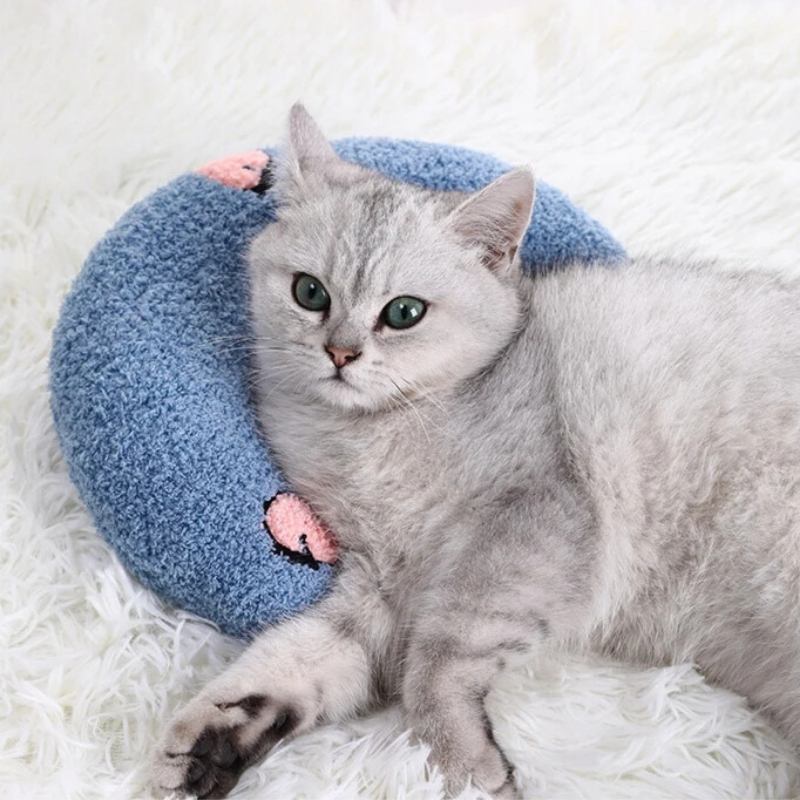 Coussin chat bleu