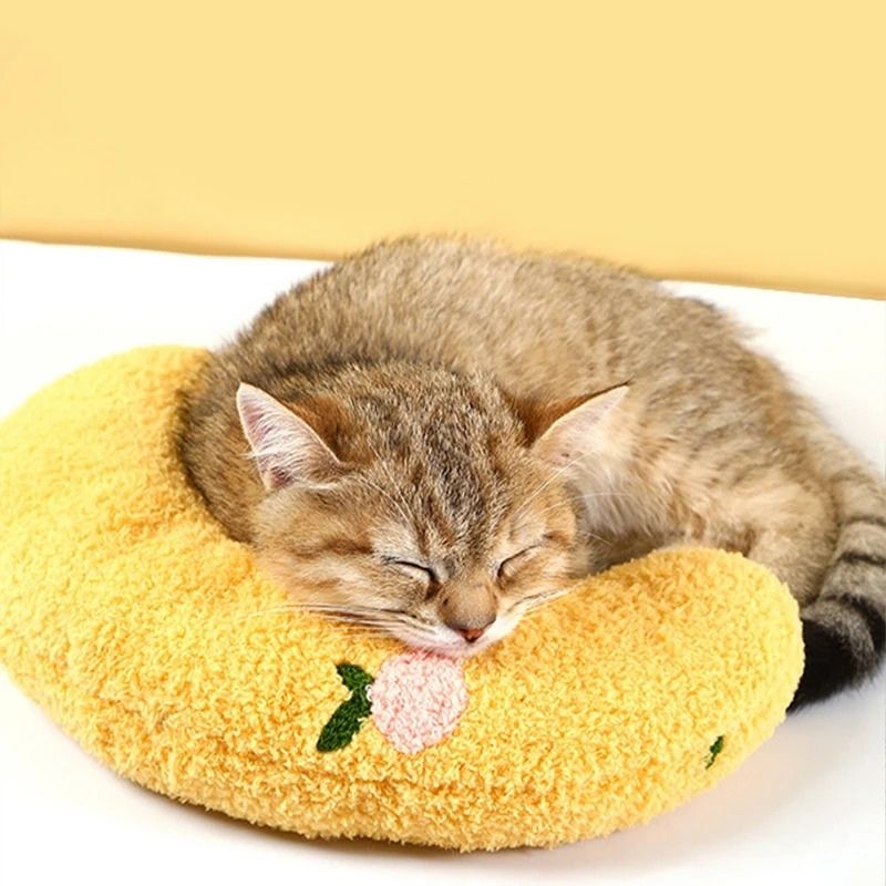Coussin chat jaune
