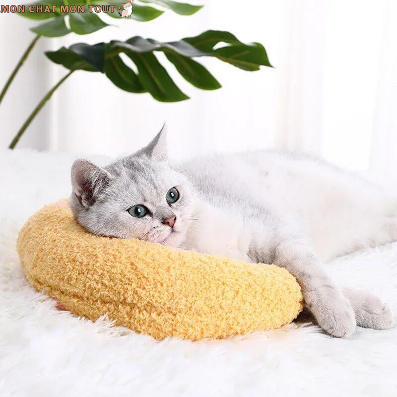 Coussin-chat-tranquille-deco