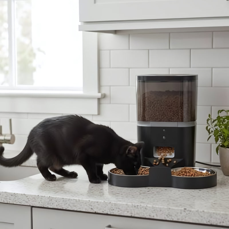 Distributeur automatique croquettes chat-avec caméra enregistreur noir