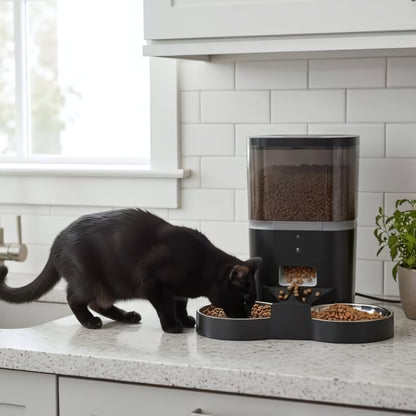 Distributeur automatique croquettes chat-avec caméra enregistreur noir