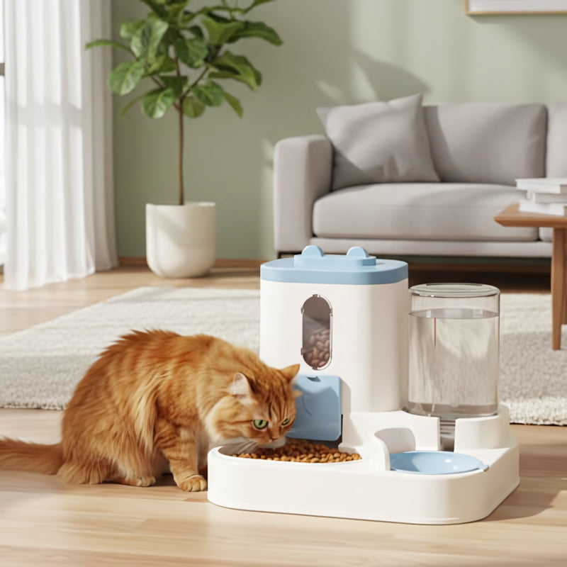 Distributeur automatique croquettes chat avec eau bleu mange