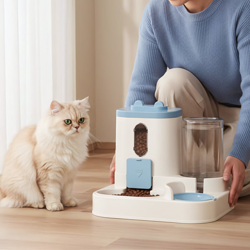 Distributeur automatique croquettes chat fini angoisse