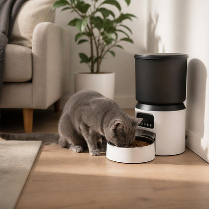 Distributeur automatique de croquettes pour chat Écran LCD sans wifi chat bleu mange