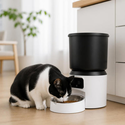 Distributeur automatique de croquettes pour chat connecté wifi sans caméra chat mange