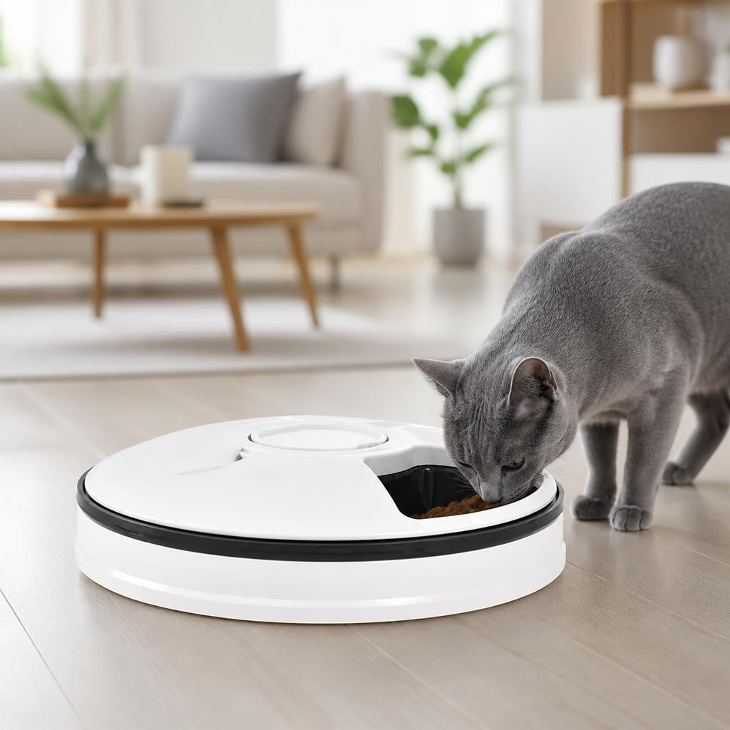 Distributeur croquette chat automatique 6 compartiments-sans fils tout type nourriture
