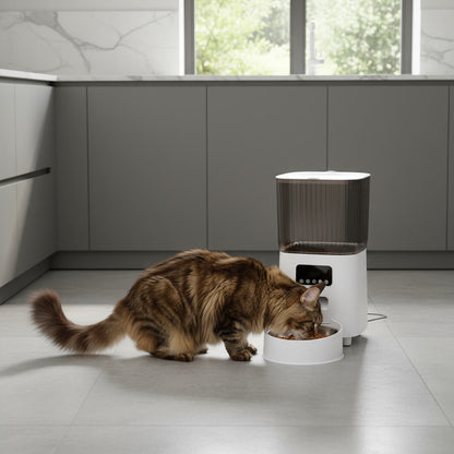 Distributeur croquettes chat contrôle direct distributeur