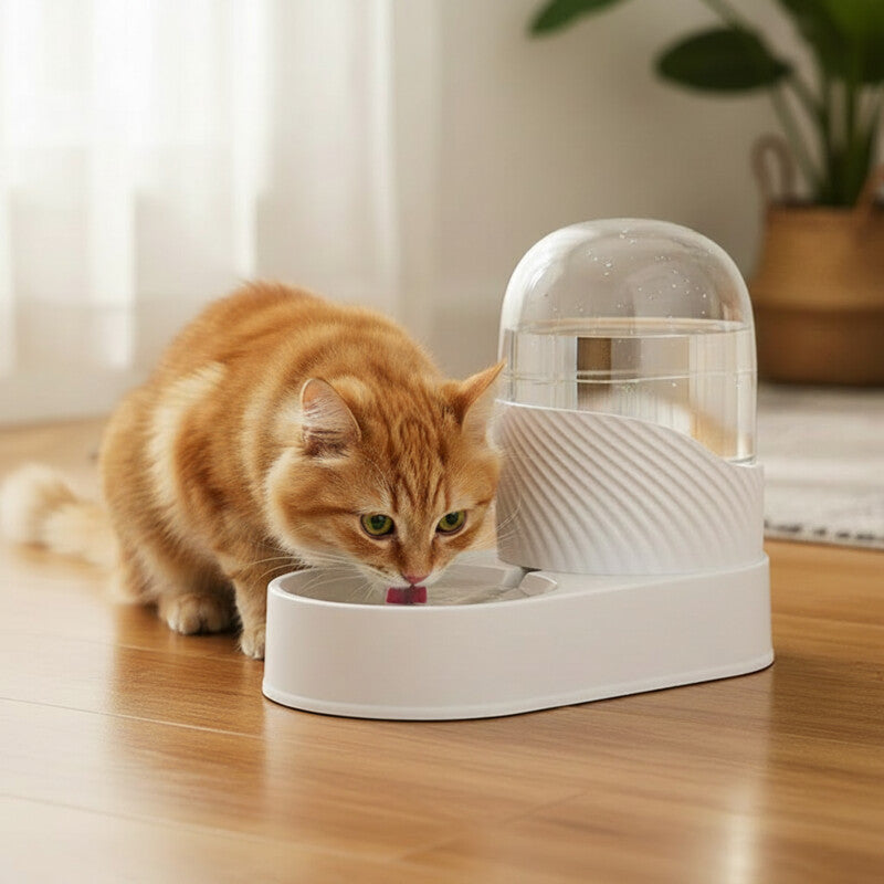 Distributeur d eau pour chat-remplissage automatique blanc 2L