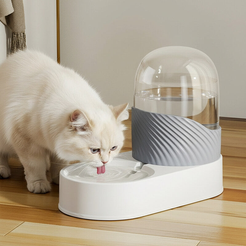 Distributeur d eau pour chat-remplissage automatique gris 2L