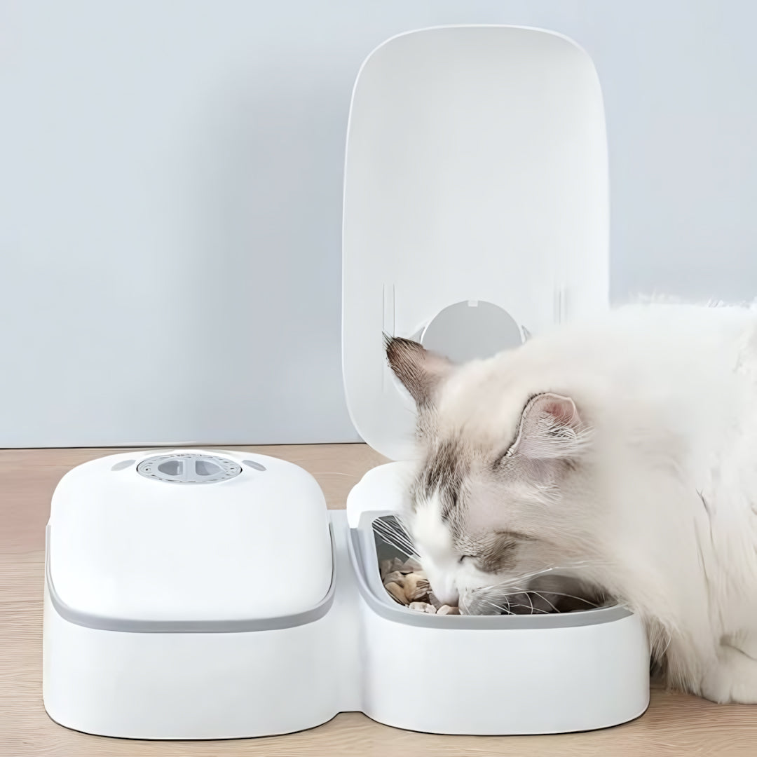 Distributeur de croquettes automatique pour chat MonChatAutoFeed double gris festin