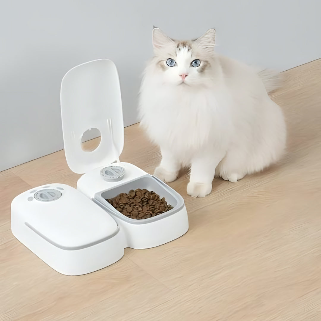 Distributeur de croquettes automatique pour chat MonChatAutoFeed double gris pose photo