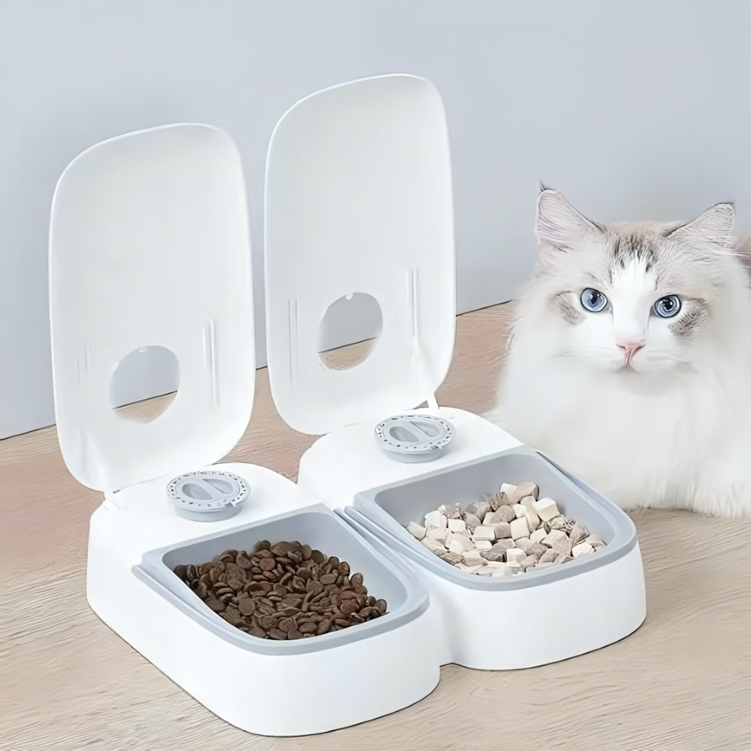 Distributeur de croquettes automatique pour chat MonChatAutoFeed double gris