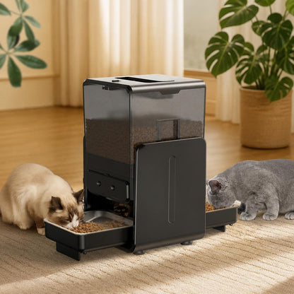 Distributeur de croquettes chat Écran Programmable détachable double bol inox 2 chats mangent