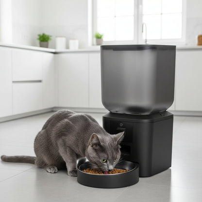 Distributeur de croquettes chat Programmable connecté avec caméra mange