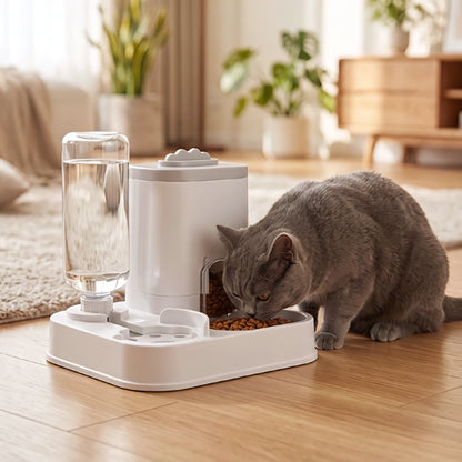 Distributeur de croquettes pour Chat MonChatDiseuvoir avec réservoir d'eau 800mL gris
