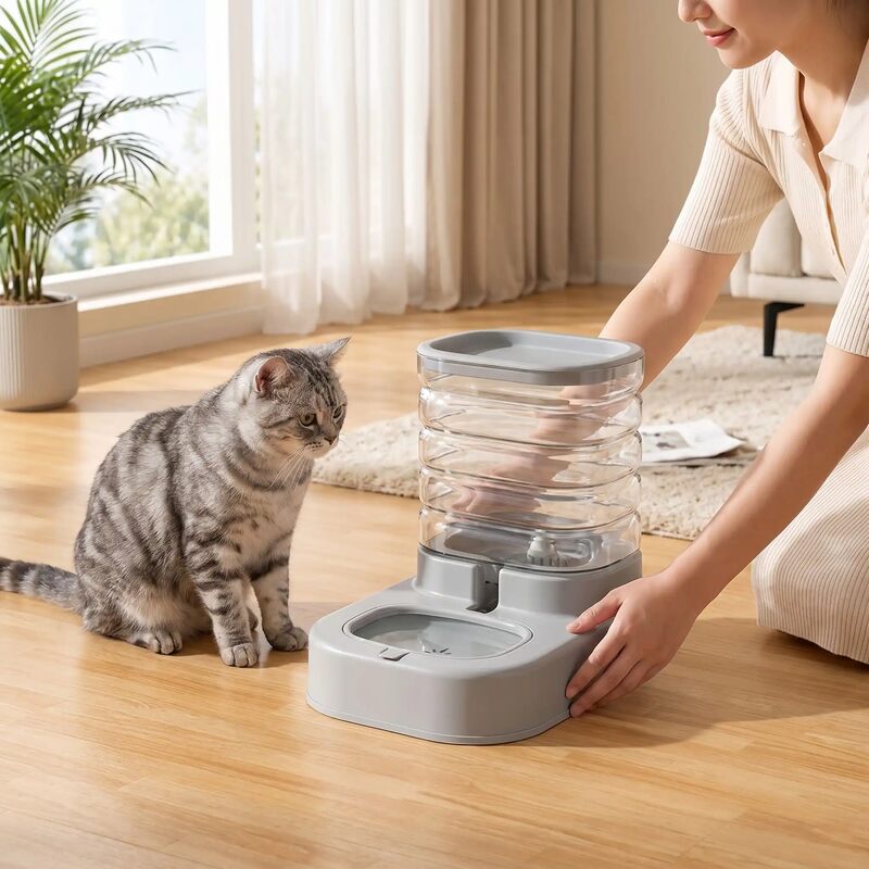 Distributeur eau chat MonChatAguaSimple chat attend