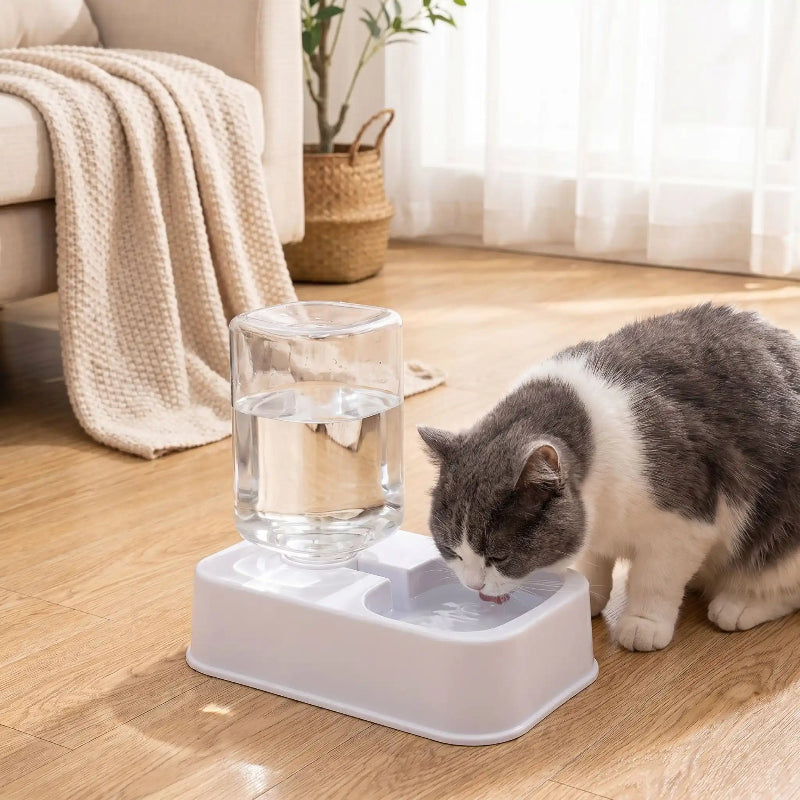 Distributeur-eau-chat-MonChatEauDi boit